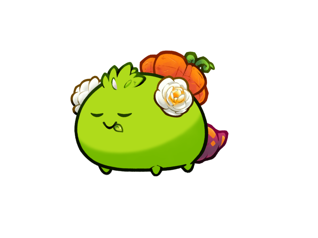 Axie Image