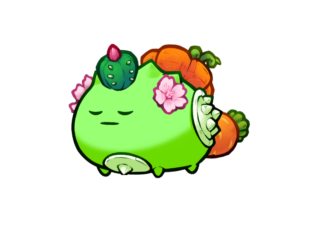 Axie Image