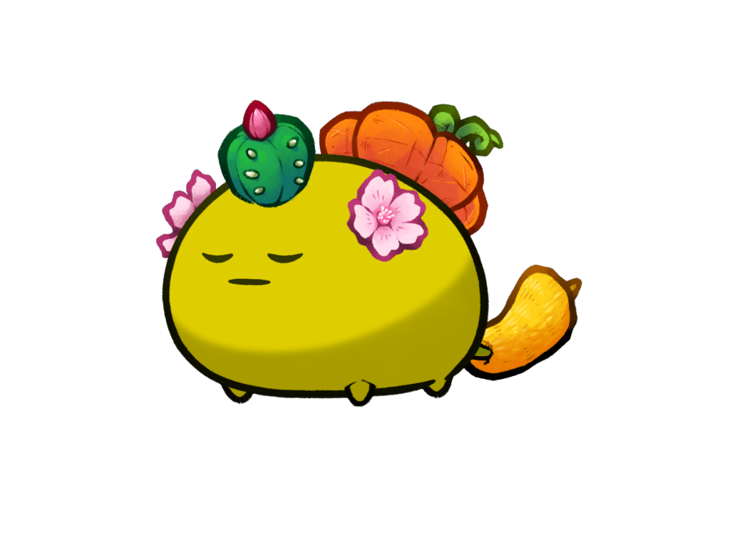 Axie Image