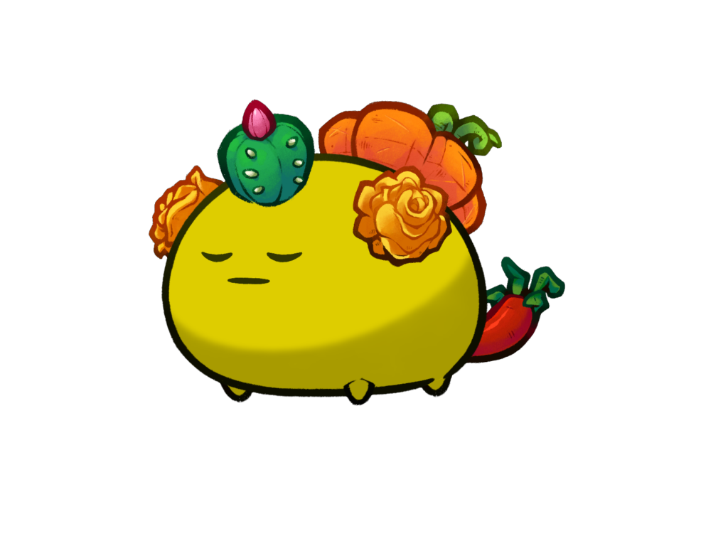 Axie 6762027