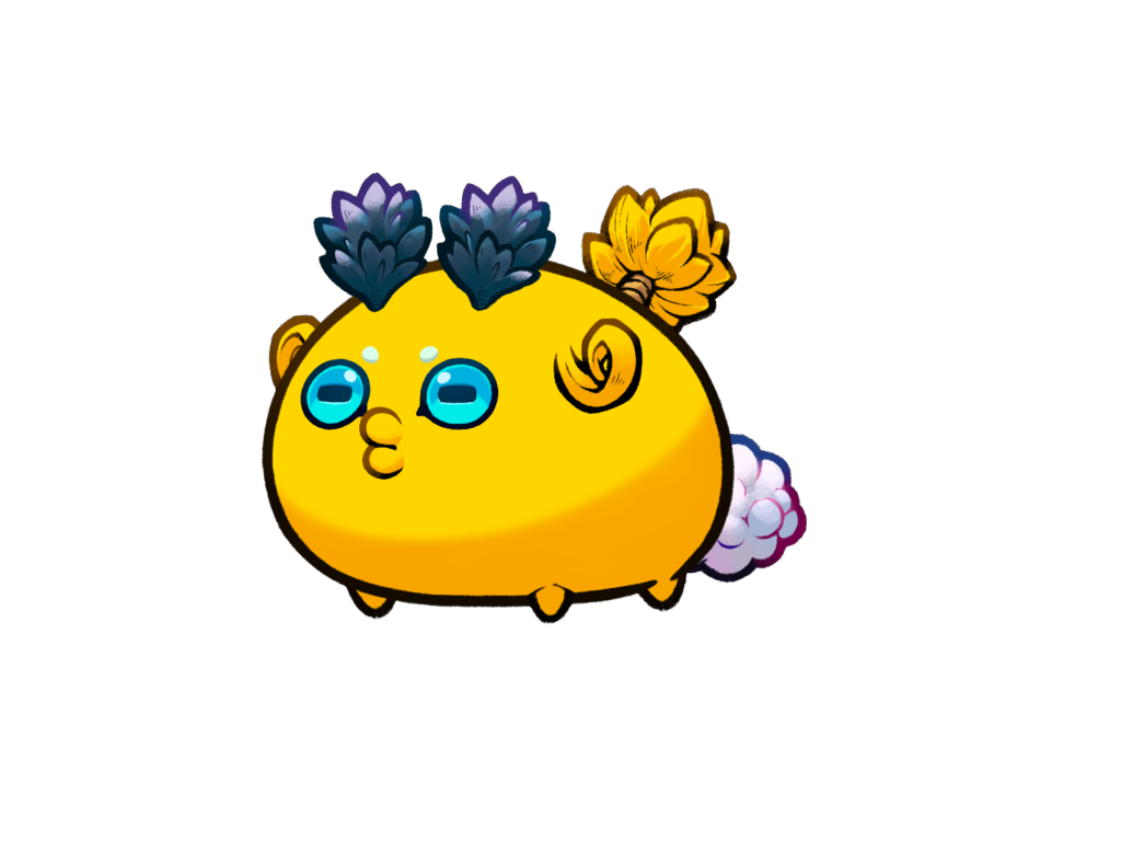 Axie Image