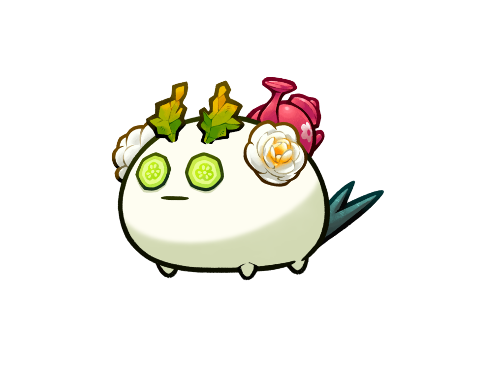 Axie Image