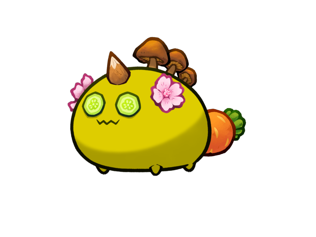 Axie Image