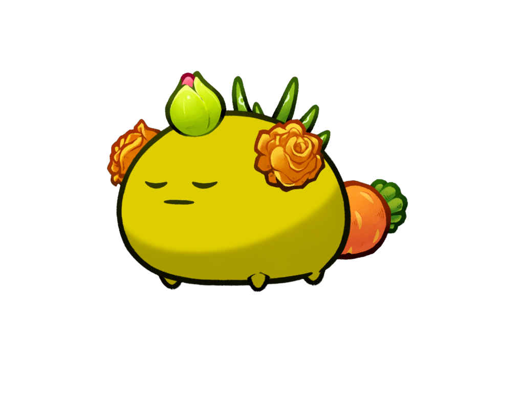 Axie Image