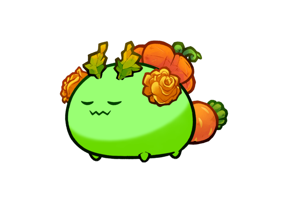 Axie 7053637