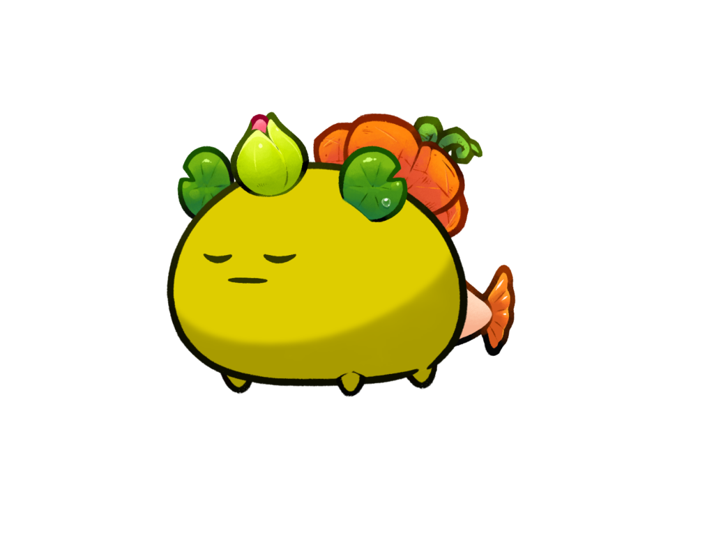Axie Image