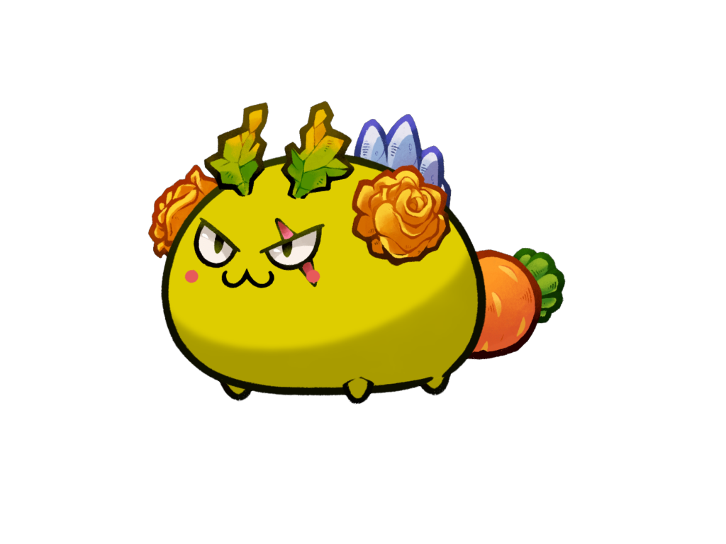 Axie Image