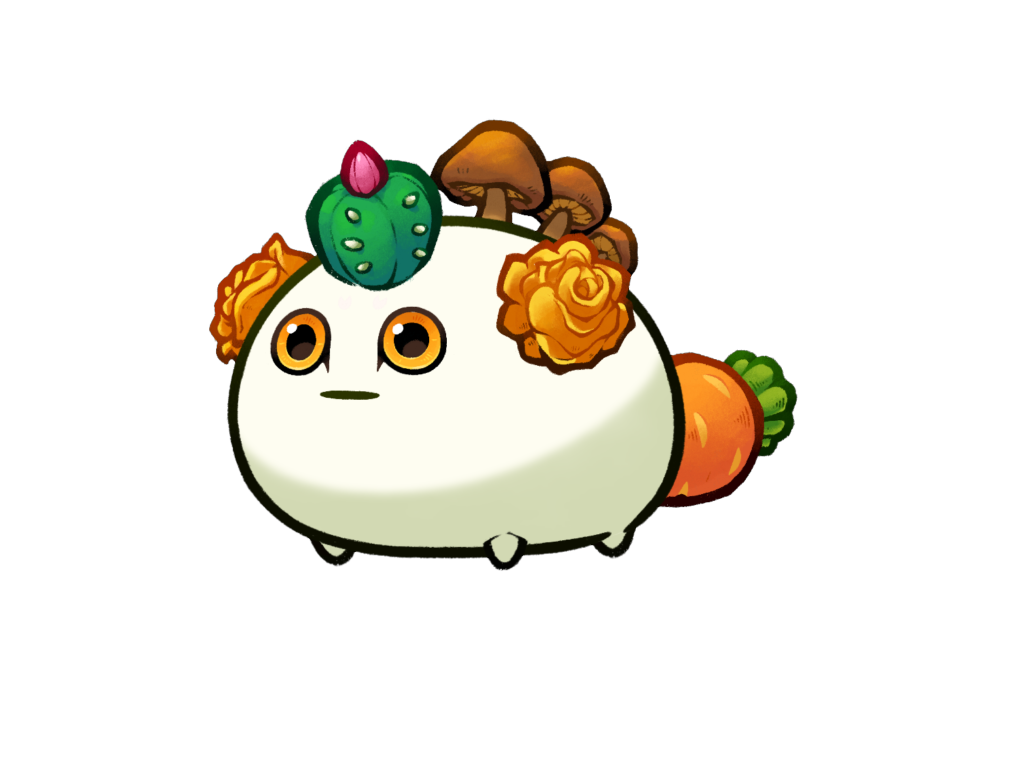 Axie Image