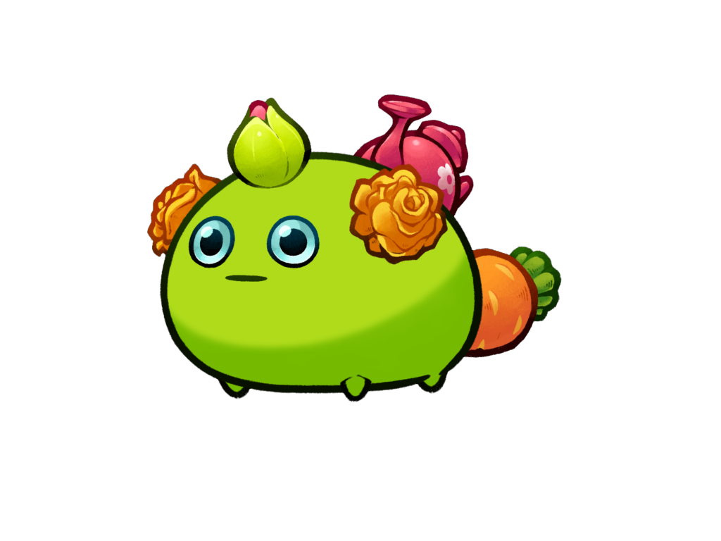 Axie Image
