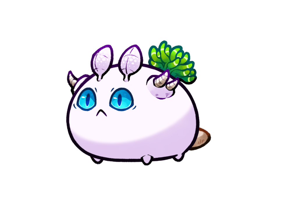 Axie 794162