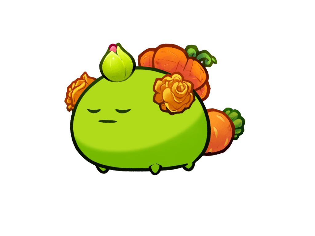 Axie Image