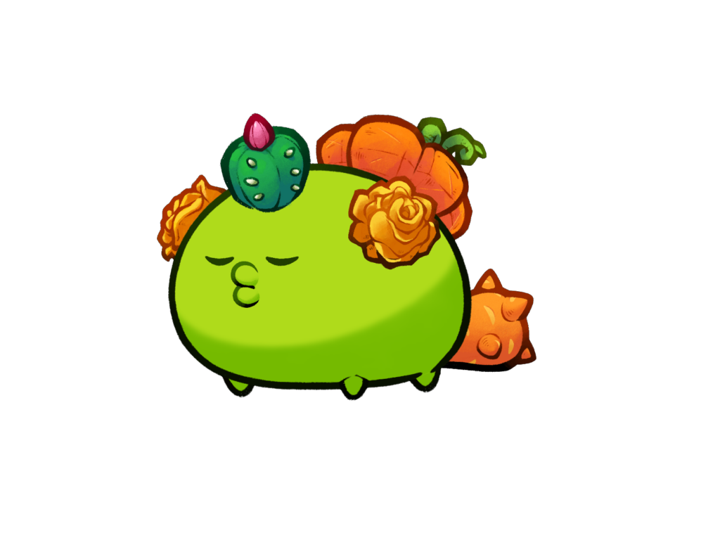 Axie 8039521