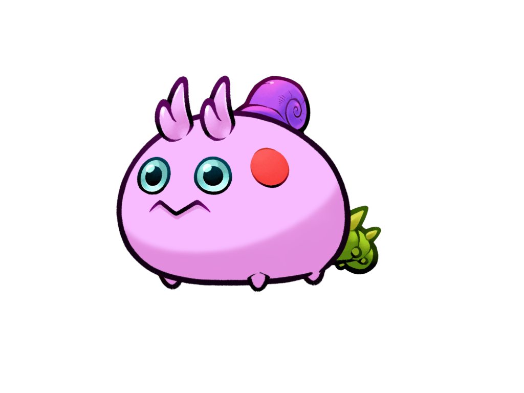 Axie 8062920