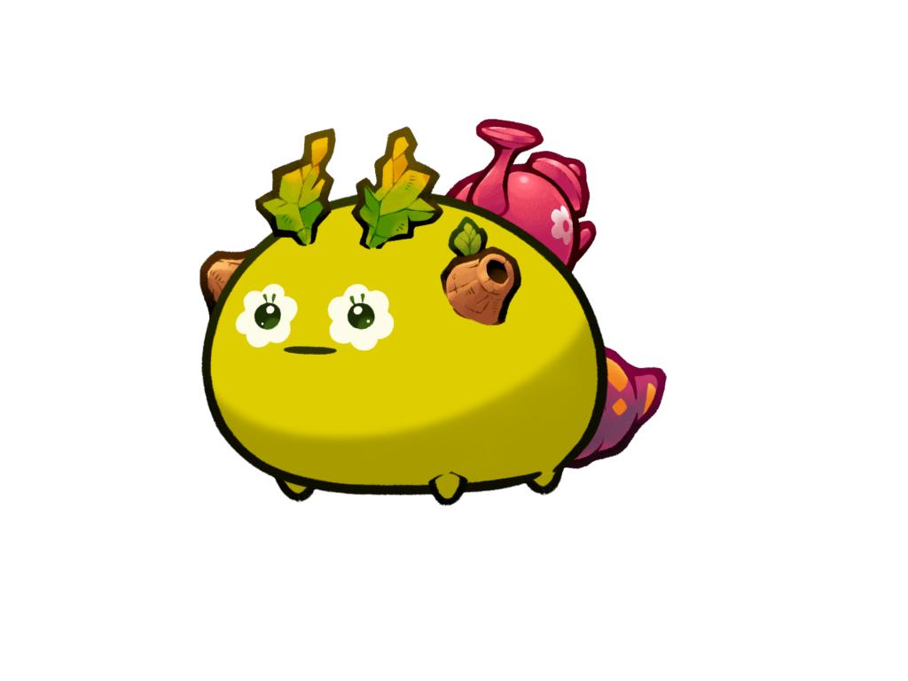 Axie Image
