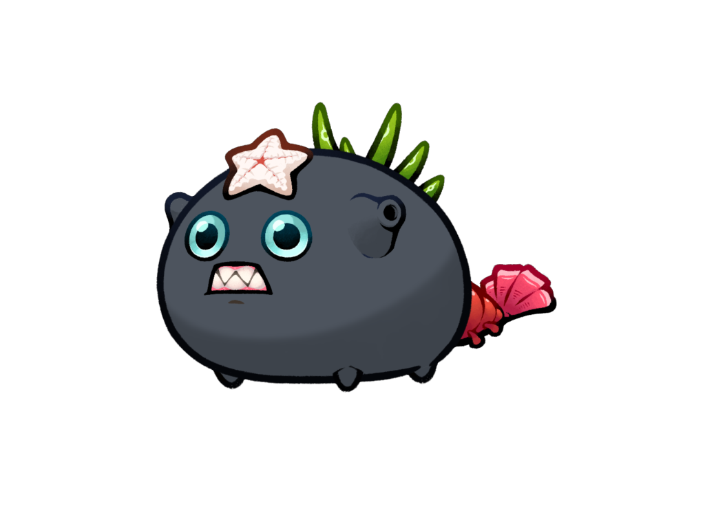 Axie 8137237