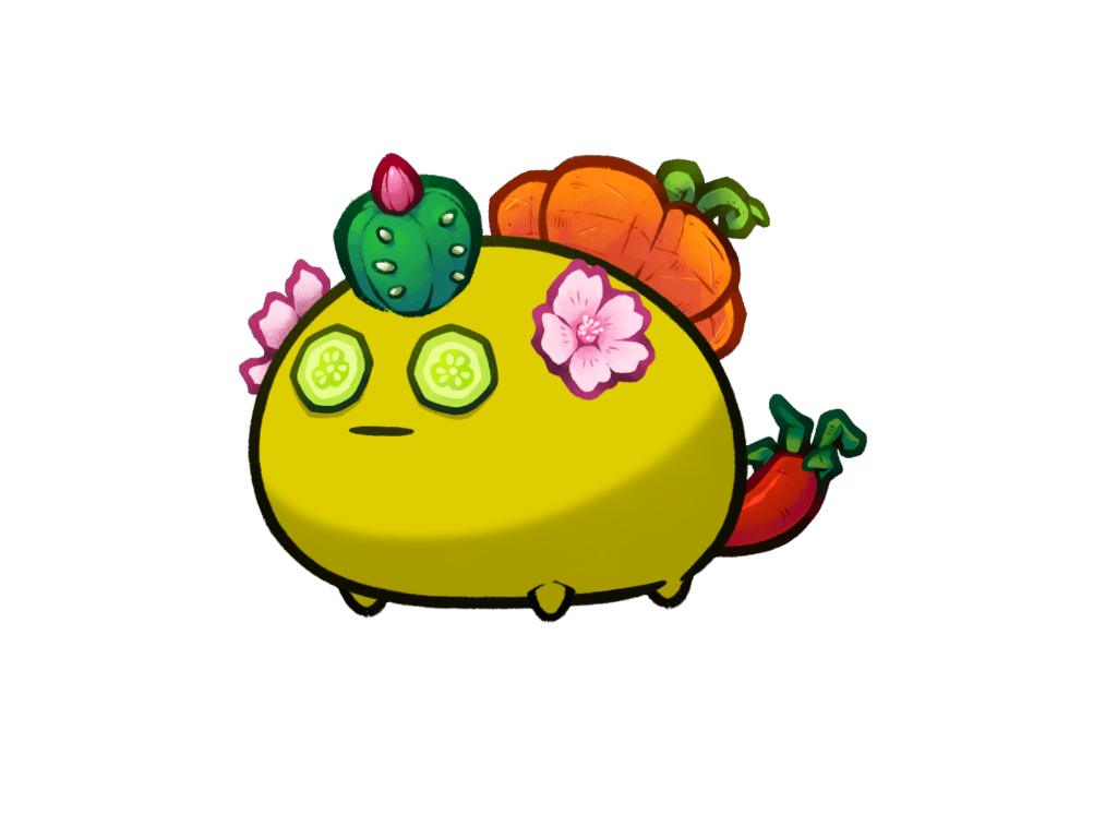 Axie Image