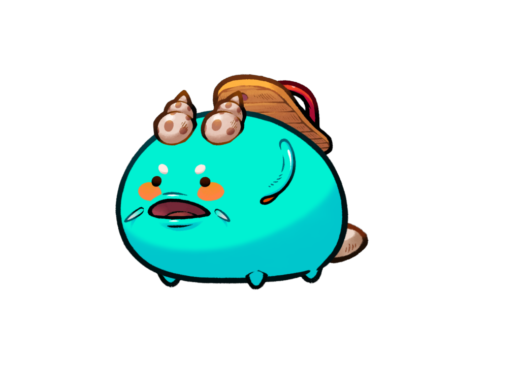Axie 8258050