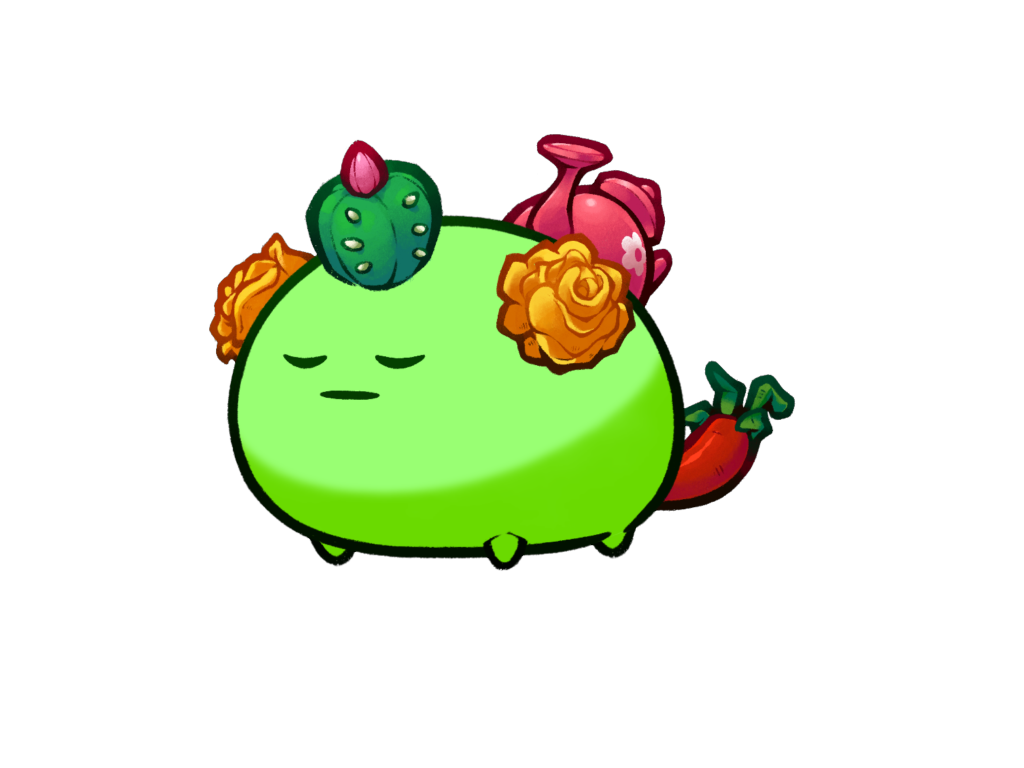 Axie Image