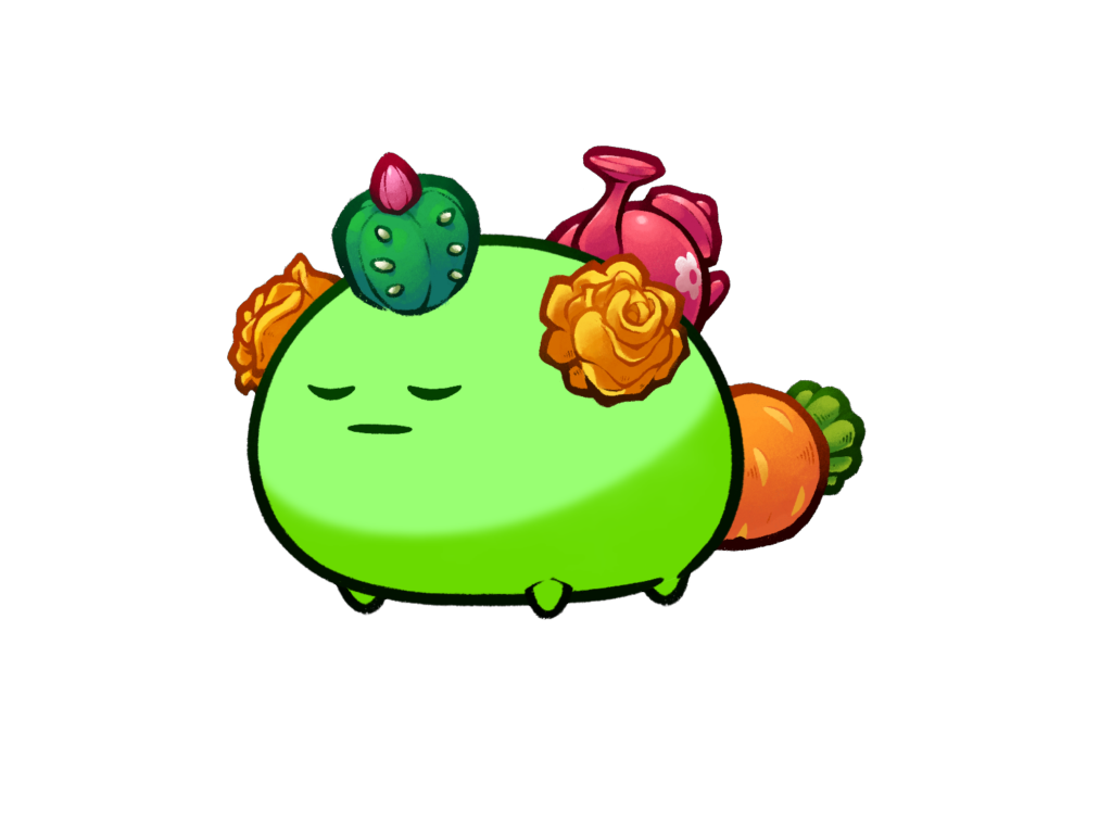 Axie 8615020