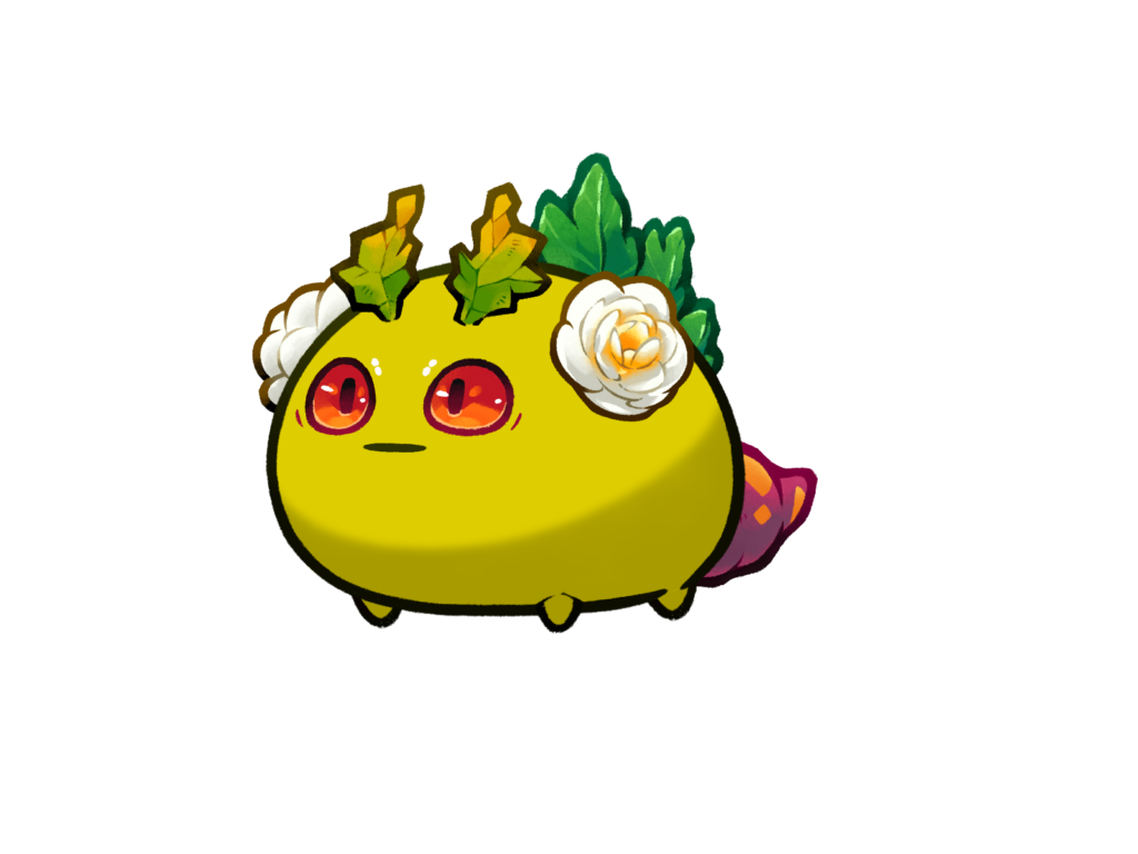 Axie Image