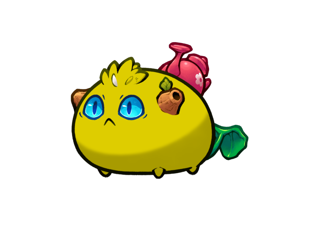 Axie Image