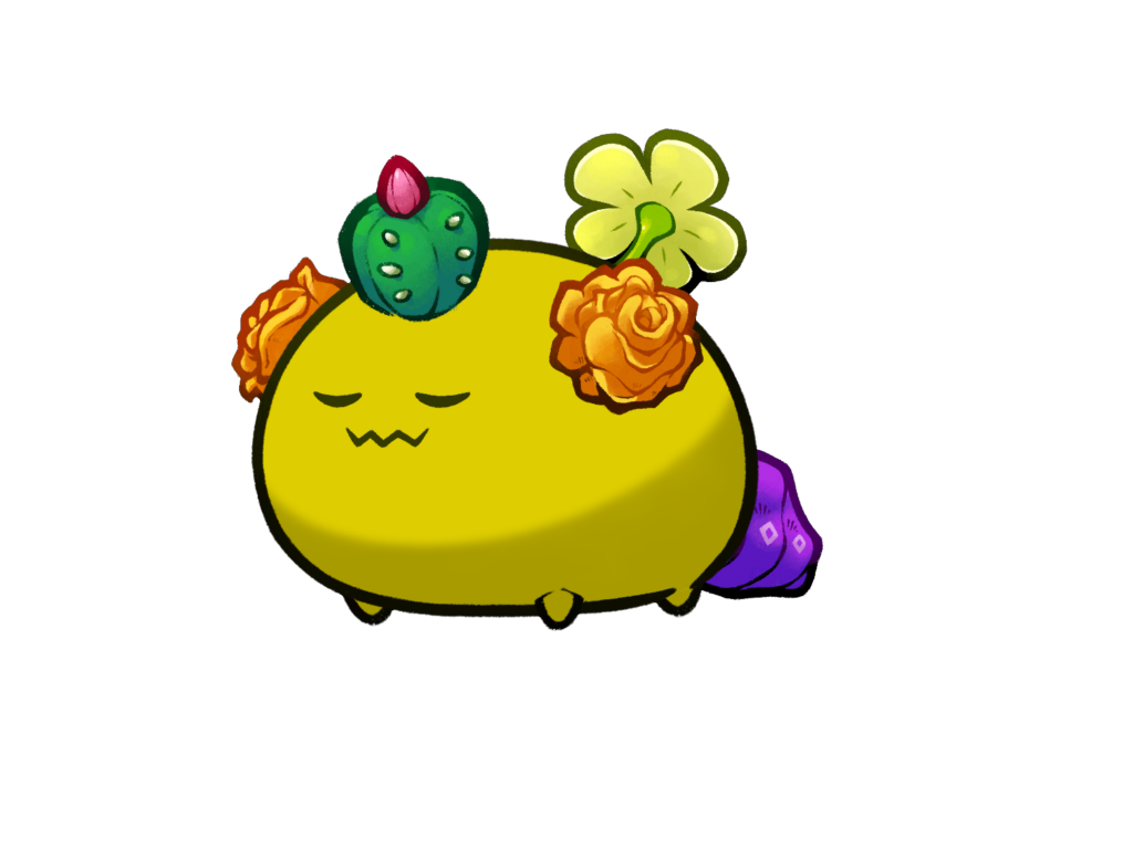 Axie Image