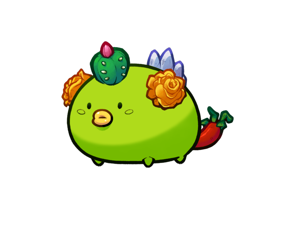 Axie Image