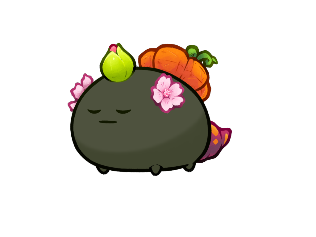 Axie 8848369