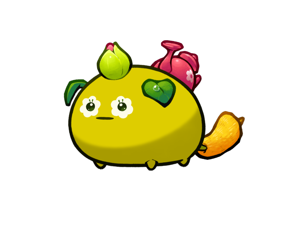Axie 9047599