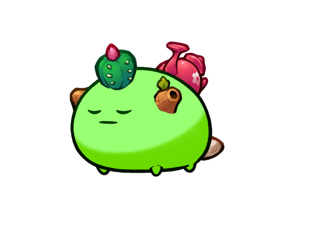 Axie 915172