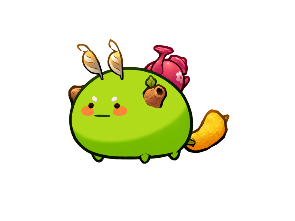 Axie 9363299