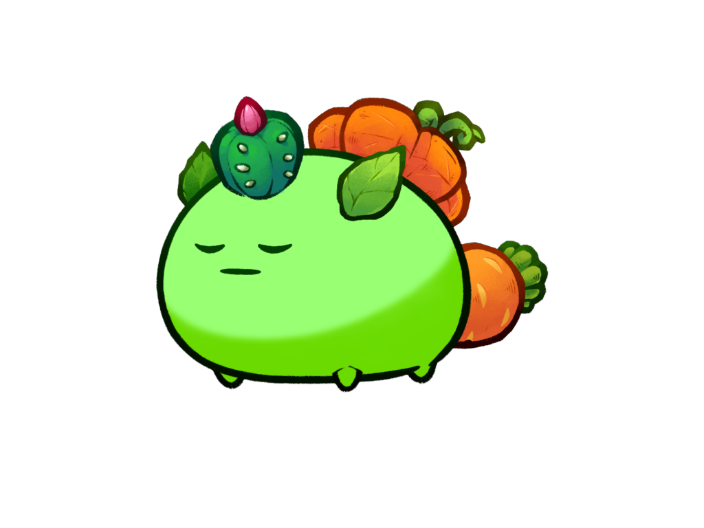 Axie 9527800