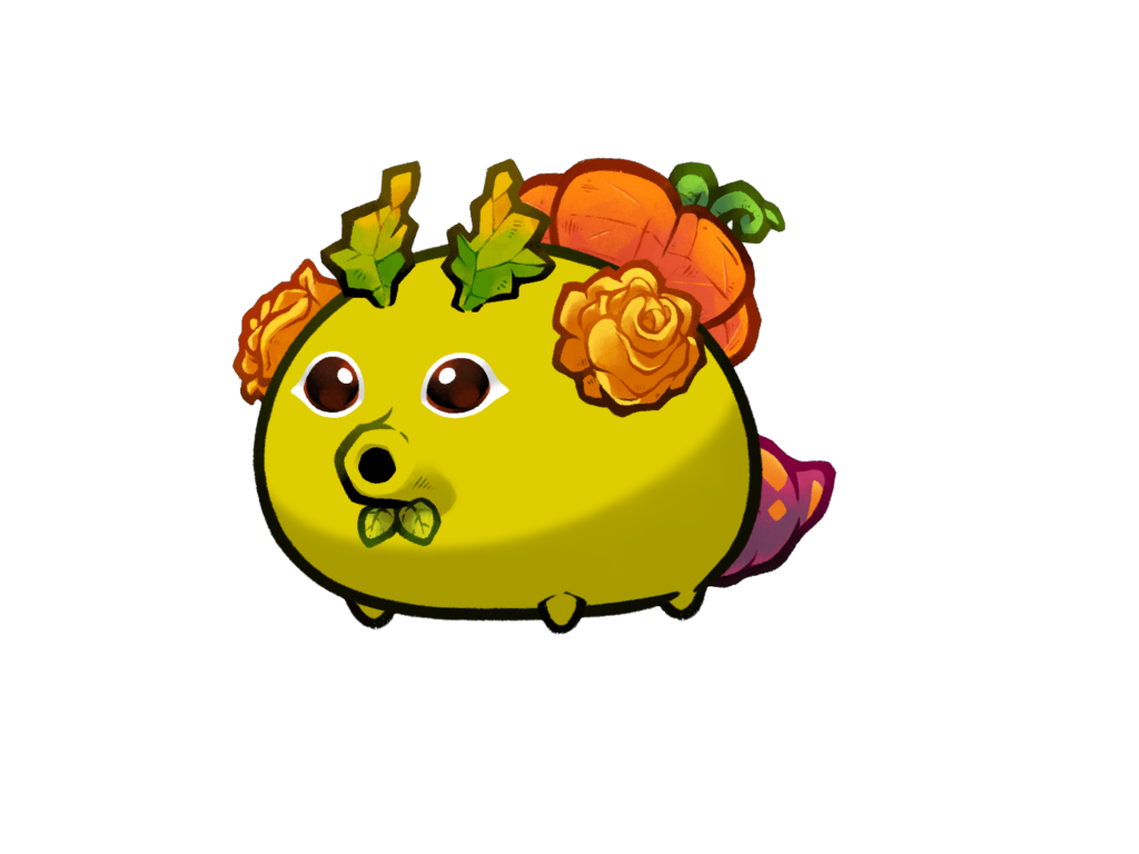 Axie 9543319