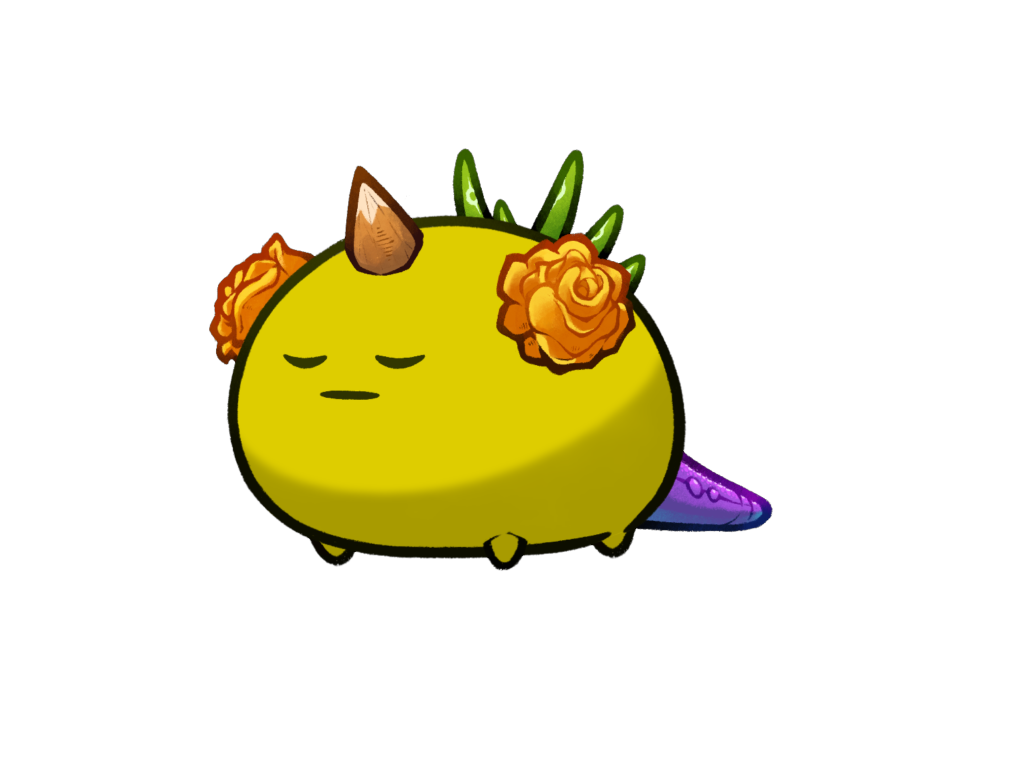 Axie Image
