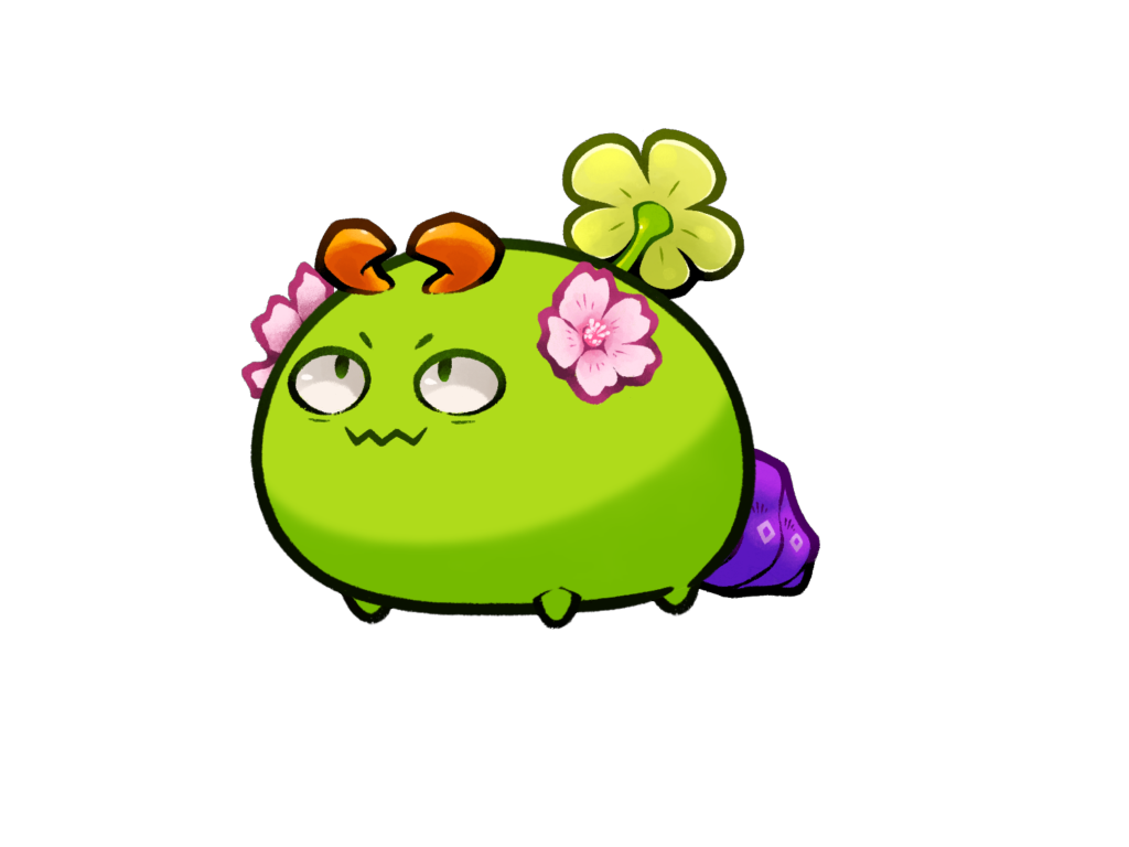 Axie 9591279