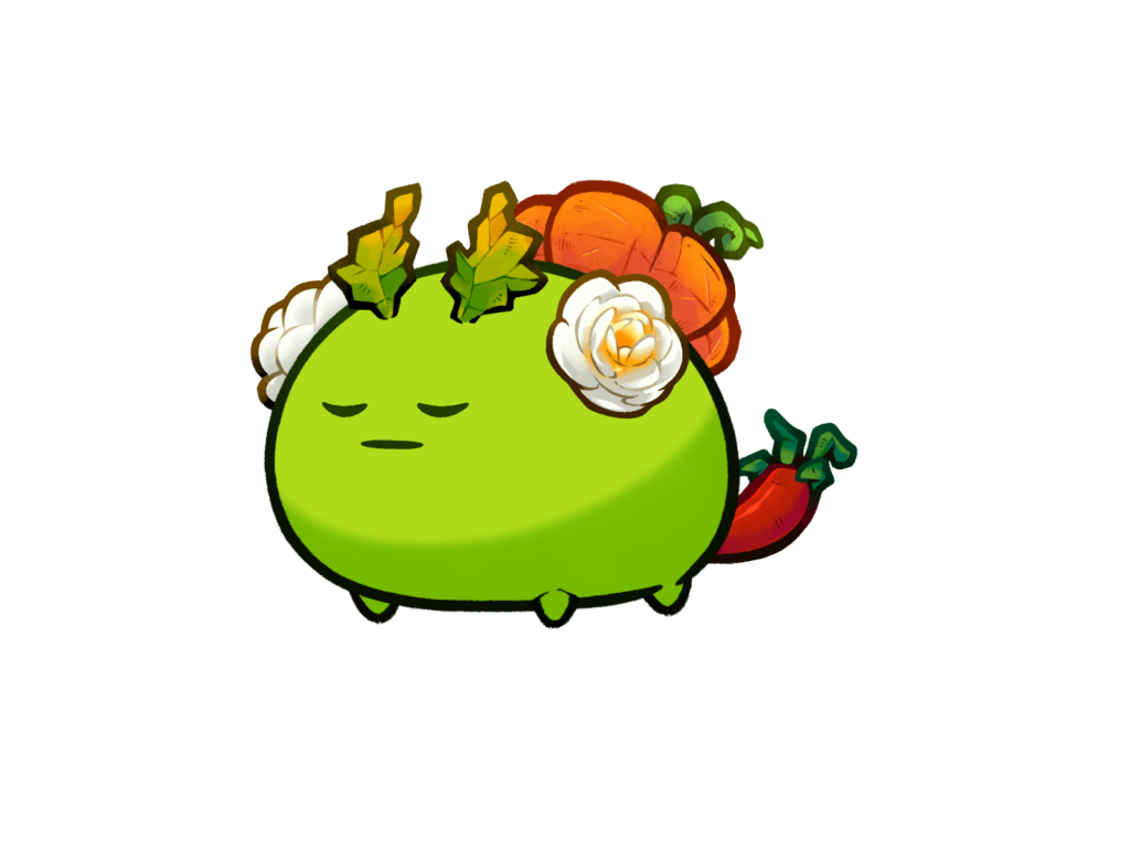 Axie Image