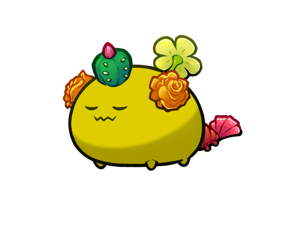 Axie Image