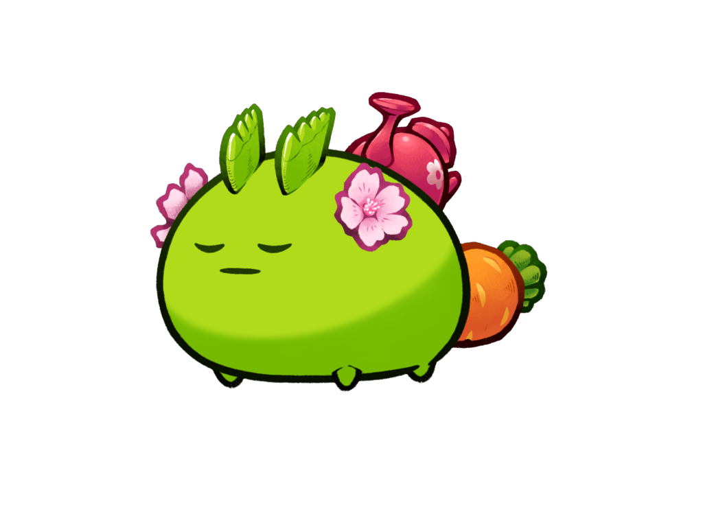 Axie 966797