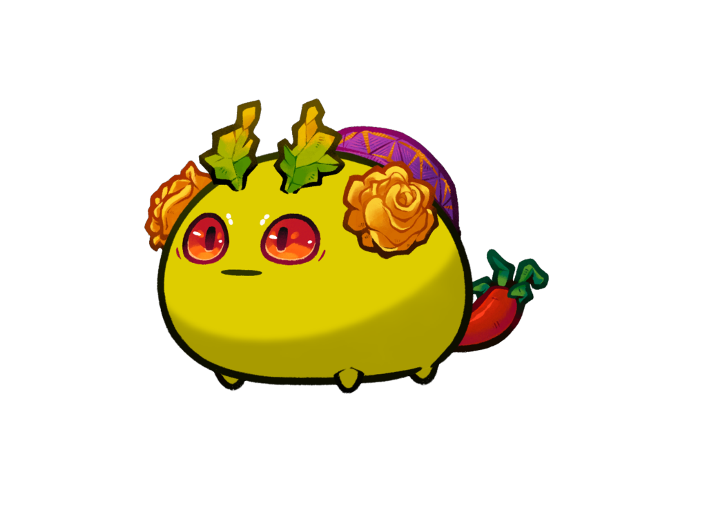Axie Image