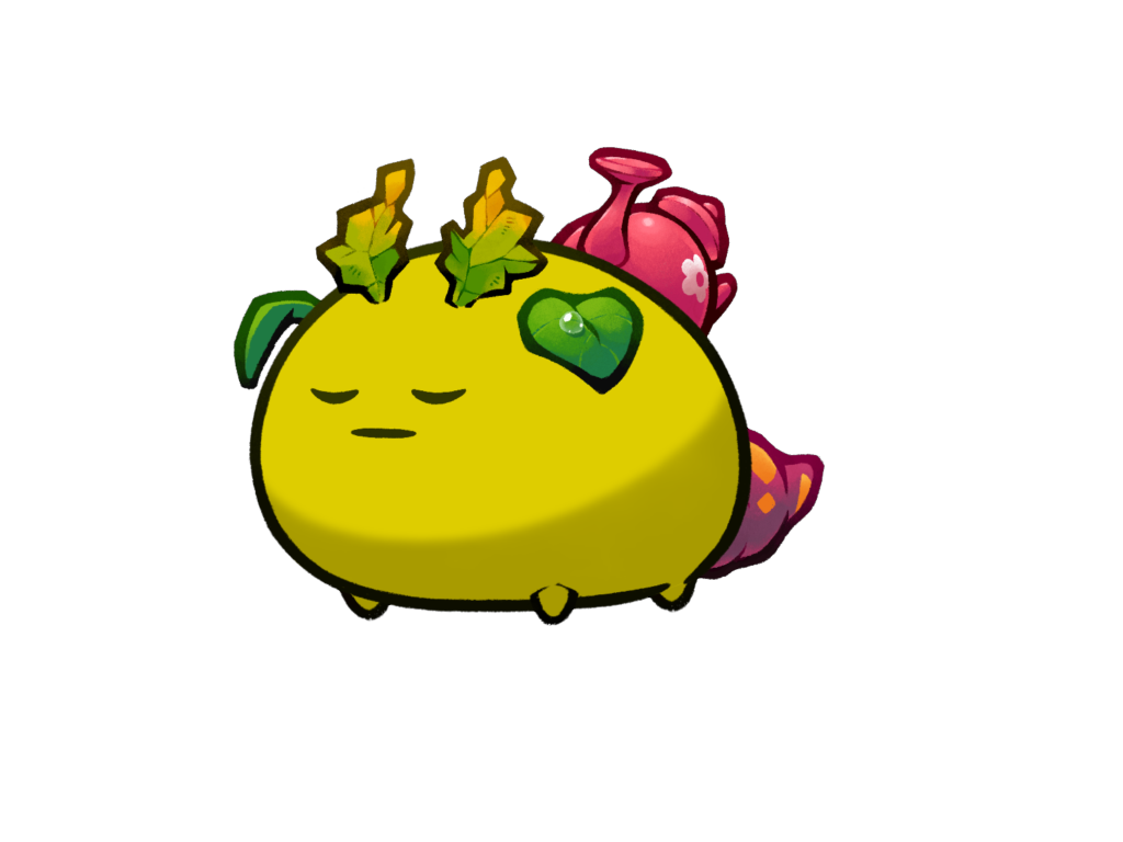 Axie Image