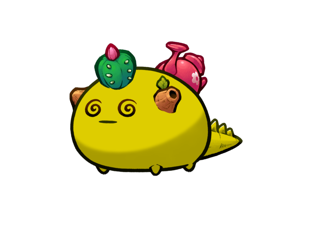 Axie 9778787