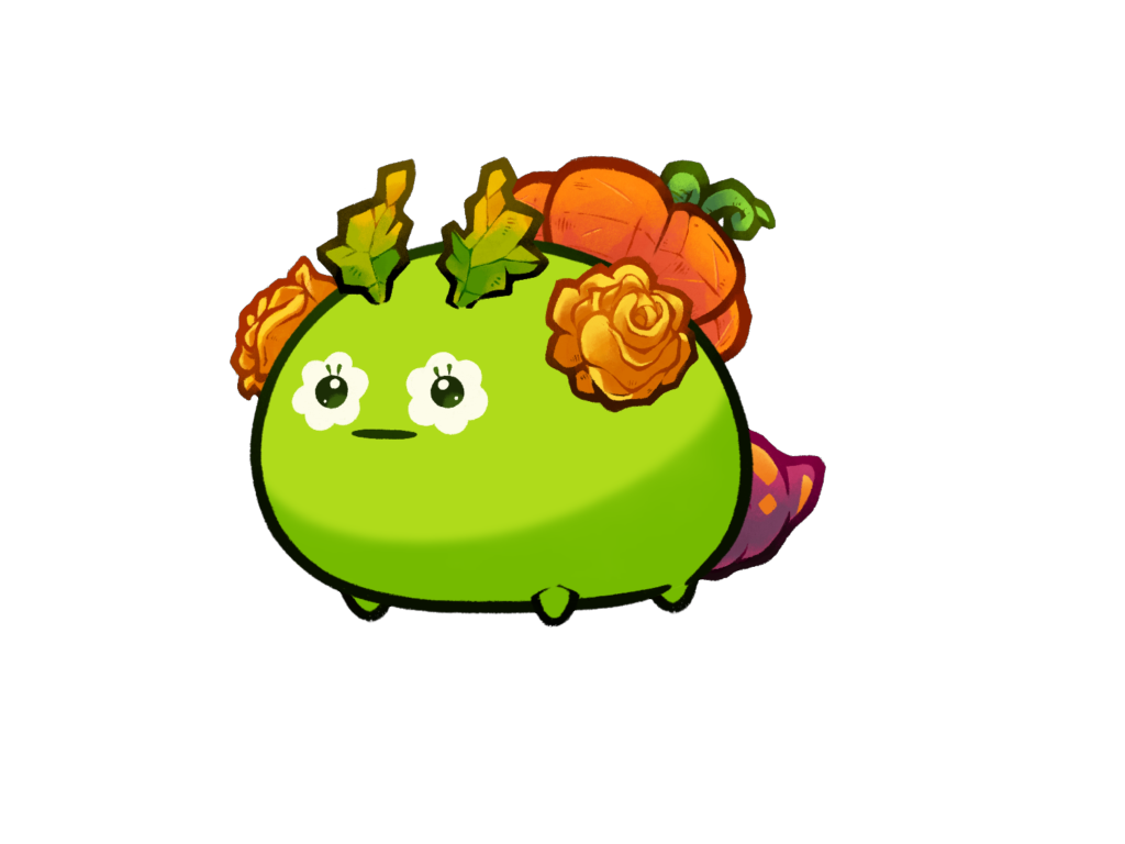 Axie 9781436