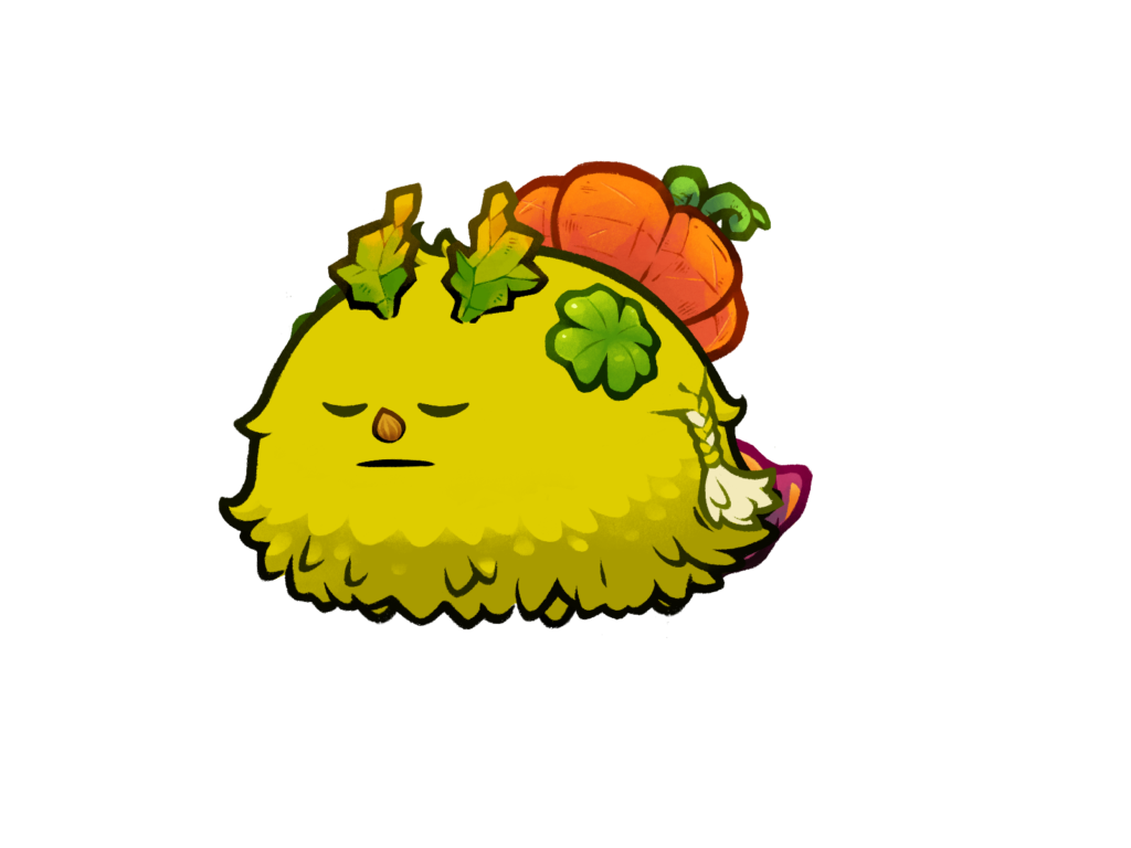 Axie 9785738