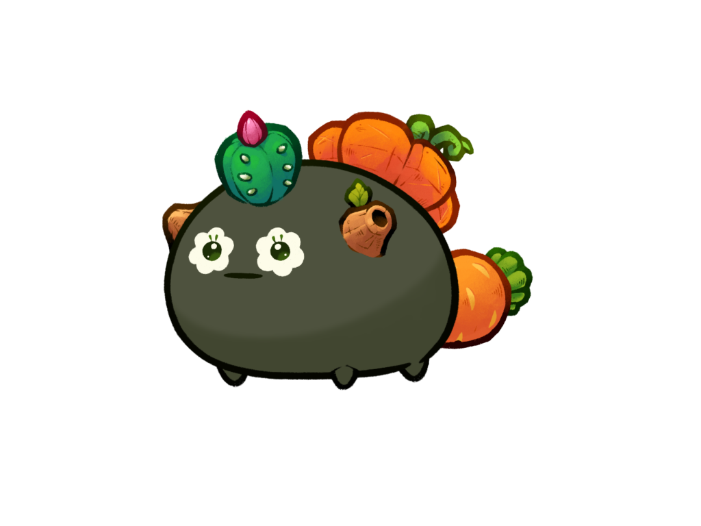 Axie Image