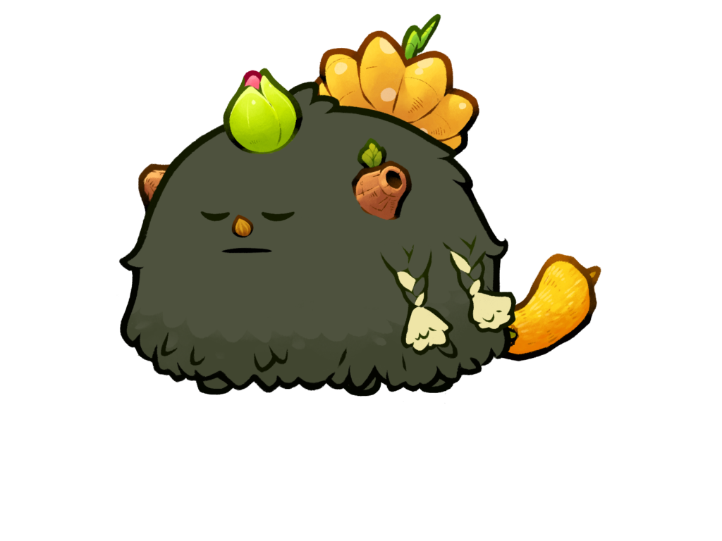Axie 984626