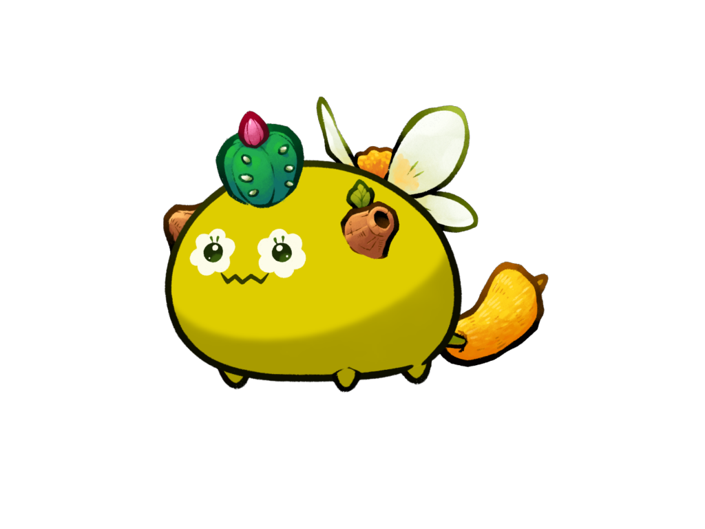 Axie Image