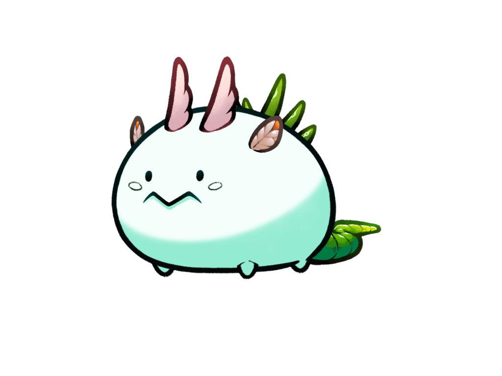 Axie 9968997